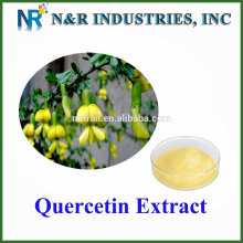 Extrait de sophora japonica Quercétine Dihydratée 98% UV / HPLC à 95%
